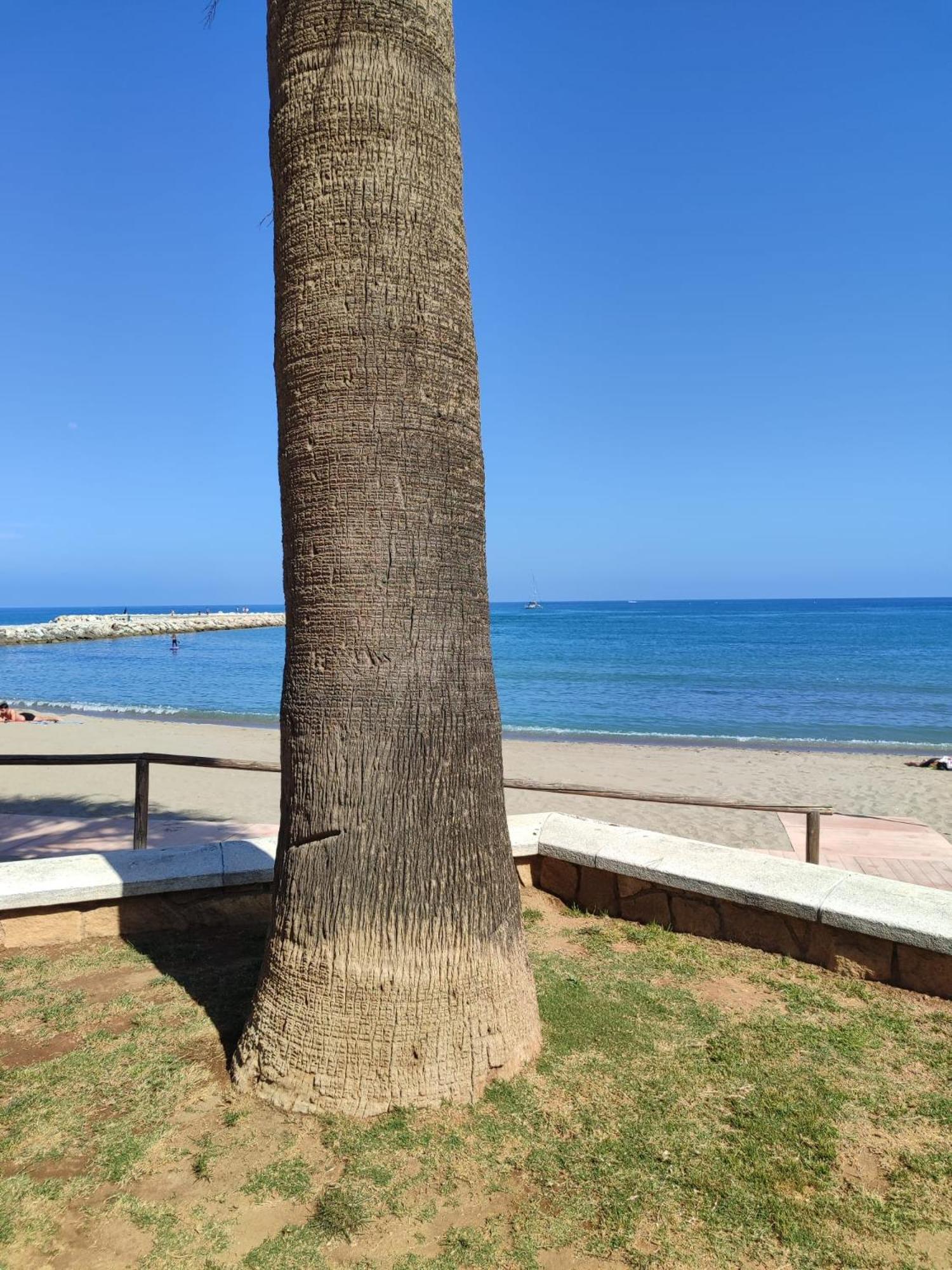 Fuengirola Reyes Beach Exteriör bild